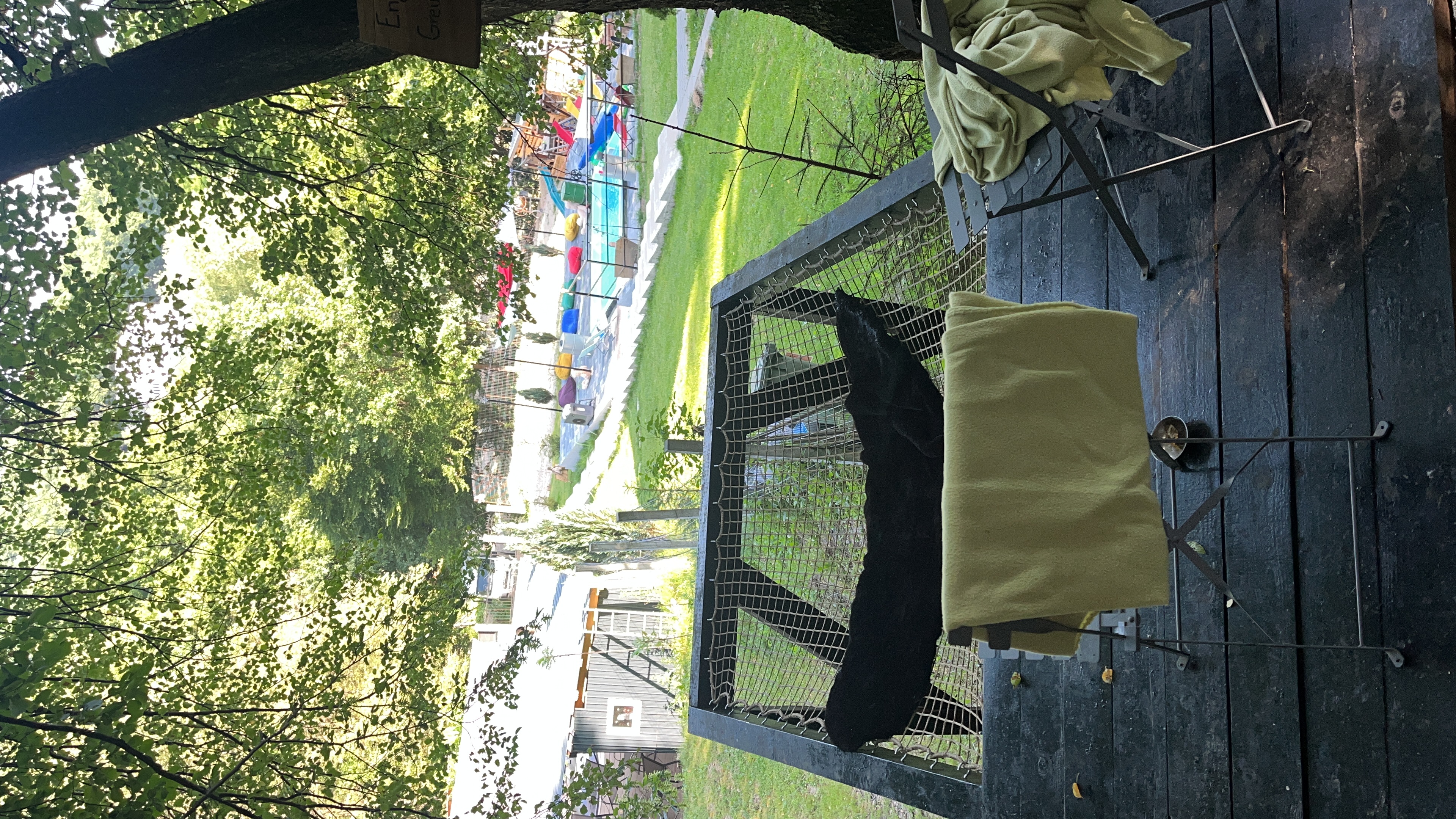 Căsuțe Scandinave - cabane de închiriat în Transilvania - imagine 1 - 5